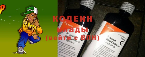 шишки Горно-Алтайск