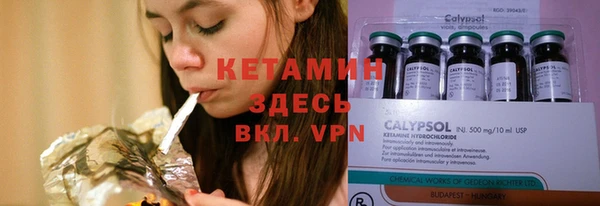шишки Горно-Алтайск