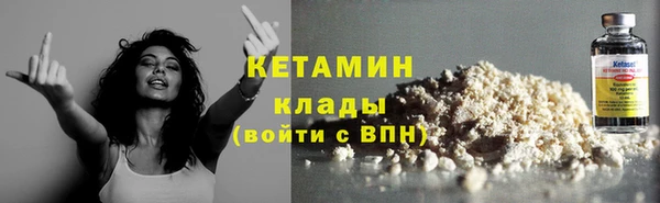 шишки Горно-Алтайск