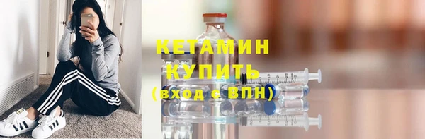 шишки Горно-Алтайск