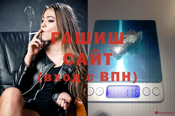 шишки Горно-Алтайск