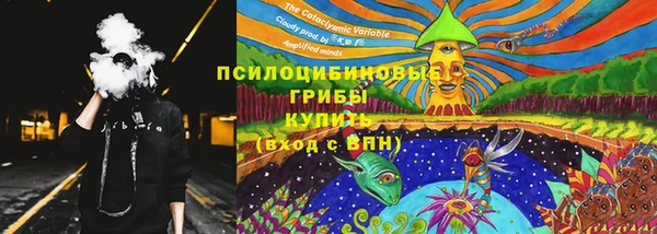 шишки Горно-Алтайск