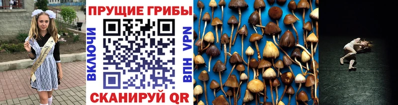 Галлюциногенные грибы мухоморы Купить закладки Белебей